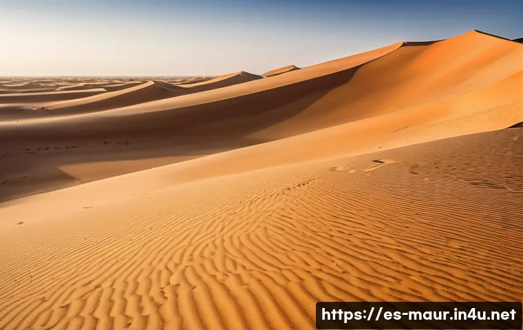 모리타니 사막 체험 - A vast Mauritanian Sahara desert landscape at golden hour, featuring endless rolling sand dunes shap...